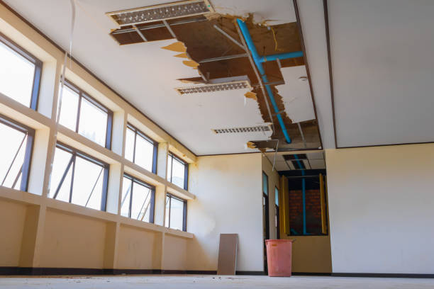 Best Sewage cleanup and water damage restoration  in Los Chaves, NM