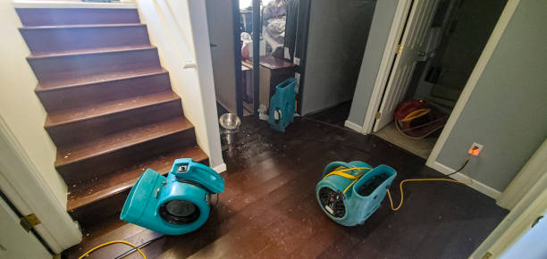 Best Ceiling water damage repair  in Los Chaves, NM