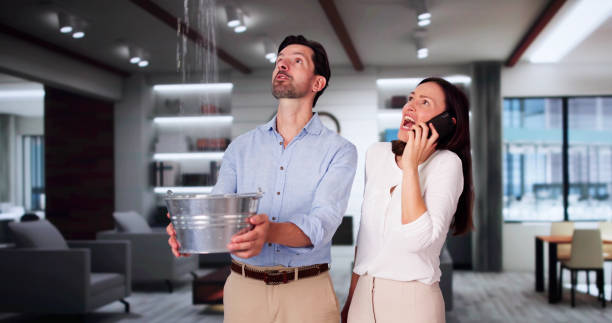 Best Water damage contractors near me  in Los Chaves, NM
